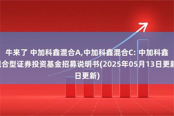牛来了 中加科鑫混合A,中加科鑫混合C: 中加科鑫混合型证券投资基金招募说明书(2025年05月13日更新)
