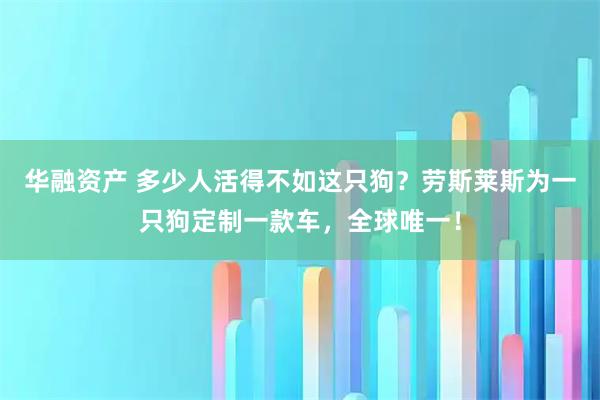 华融资产 多少人活得不如这只狗？劳斯莱斯为一只狗定制一款车，全球唯一！
