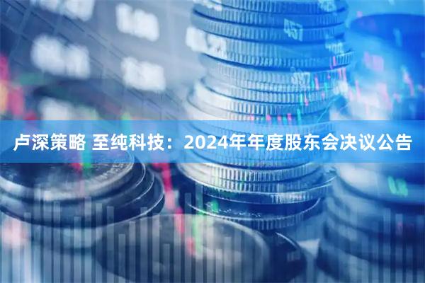 卢深策略 至纯科技：2024年年度股东会决议公告