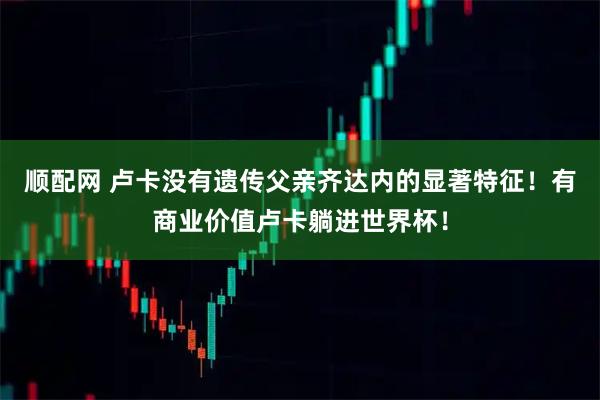 顺配网 卢卡没有遗传父亲齐达内的显著特征！有商业价值卢卡躺进世界杯！