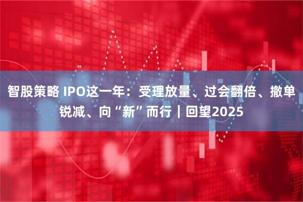 智股策略 IPO这一年：受理放量、过会翻倍、撤单锐减、向“新”而行｜回望2025