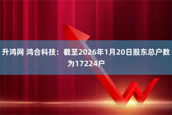升鸿网 鸿合科技：截至2026年1月20日股东总户数为17224户