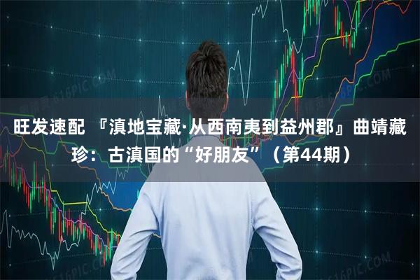 旺发速配 『滇地宝藏·从西南夷到益州郡』曲靖藏珍：古滇国的“好朋友”（第44期）